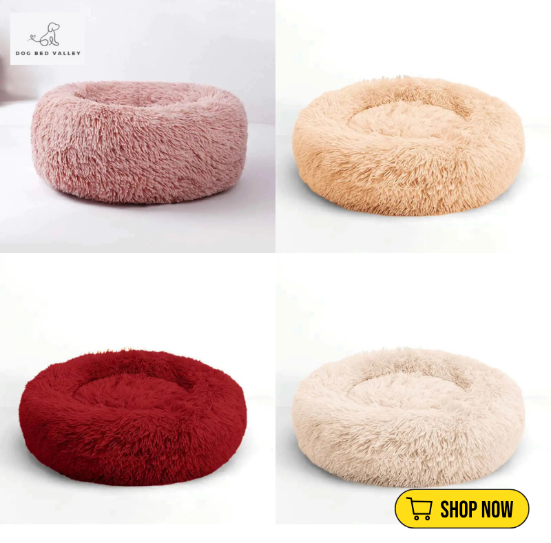 dogbedvalley's tweet photo. Did you know? A comfy bed can help reduce anxiety in dogs! 🛏️ Our Comfy Calming Dog Bed has a raised rim for security and ultra-soft filling for the ultimate relaxation. Give them the bed of their dreams! 🐾
Shop Now: https://t.co/bwpxWKKHFn

#CalmingDogBed #dogbedvalley #DogBed https://t.co/fFjOZcwaJ5