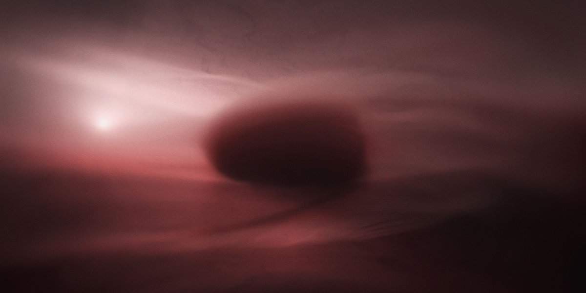 Pablo Benitez Llambay tweet media