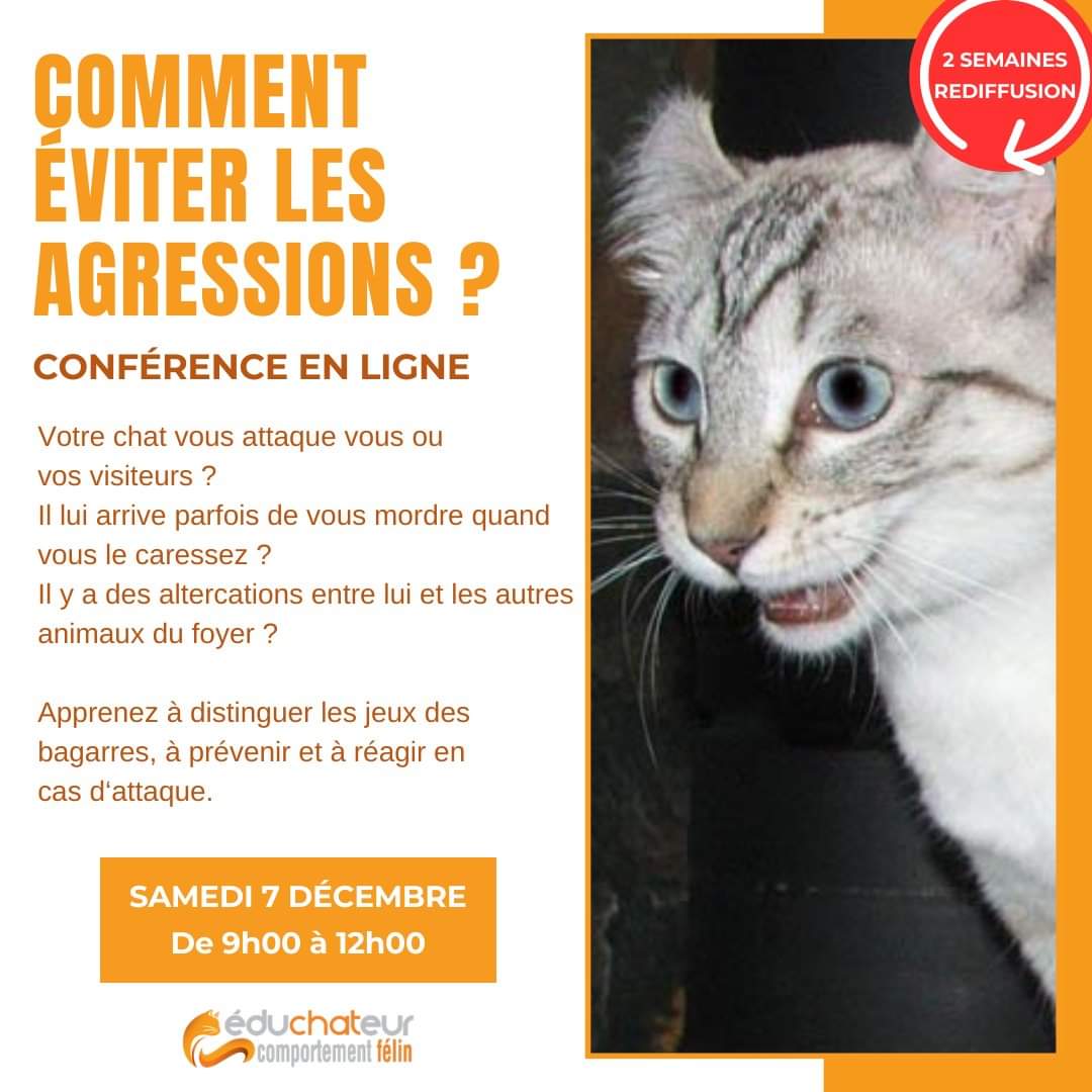 Conférence en ligne le 7 déc. 2024 à 9h sur comment éviter les agressions, distinguer les jeux des bagarres, prévenir et réagir en cas d'attaque, etc. 
#Chats #ComportementFélin #Educhateur

facebook.com/share/p/19iyEb…