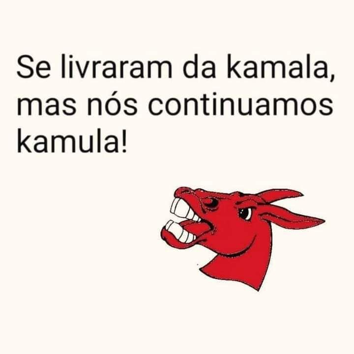 MacieldaPrata1's tweet photo. 2026 é logo alí! #ForaMULA https://t.co/QaqtT6PU7P