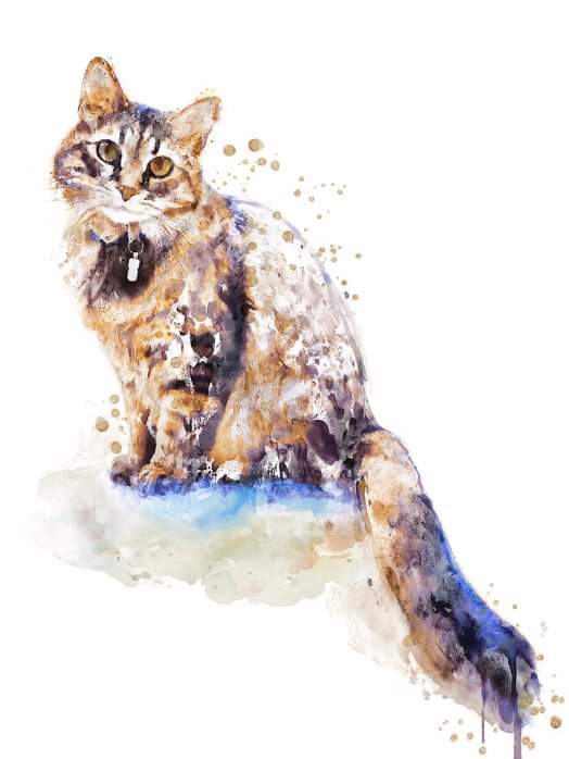ElyseeartD's tweet photo. Adorable Watercolor Tabby - Cat Art Print - Watercolor Cat Illustration

[https://t.co/5oNJgljBEU](https://t.co/5oNJgljBEU)

#cat #feline #catart #pets #adorablecats #wallart #watercolorpainting #tabbycat #catowner #giftidea #fineartamerica #fineartamericaartist #artforsale https://t.co/2vnwXOJBVt