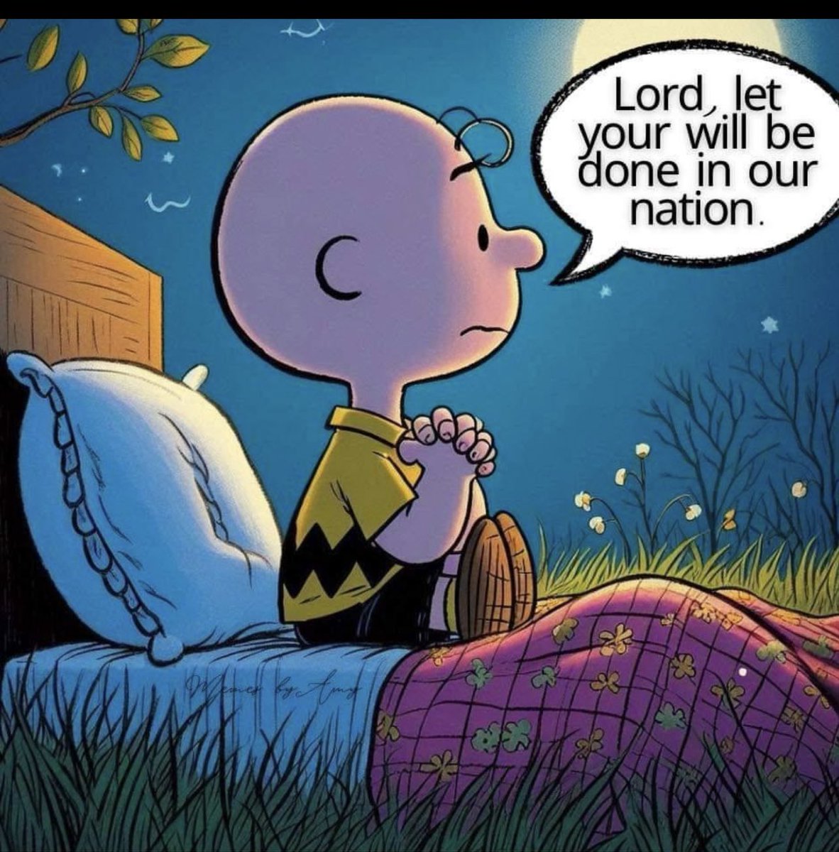 my moms Facebook photo that reflects her feeling on the election: