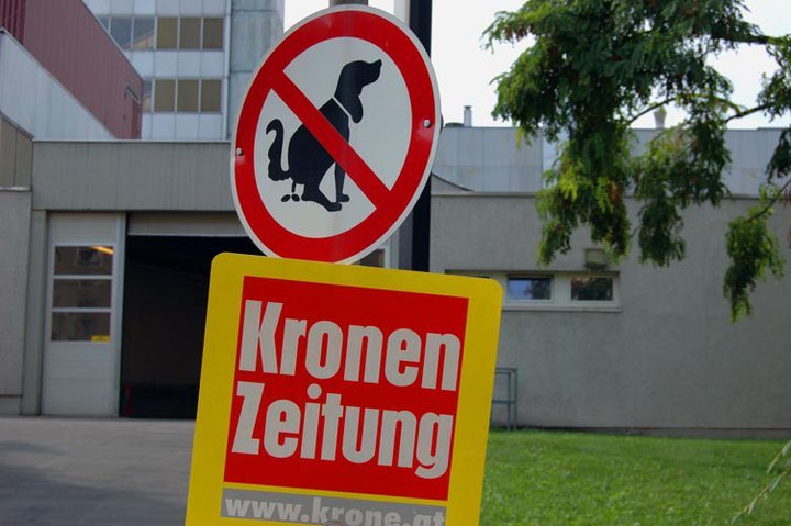 absolut9419's tweet photo. @cbischofberger @krone_at @sebastiankurz Das wir korrupten Lausbuben wie Kurz und seinen #Beidlgate boys die Politik überlassen mussten war nur möglich das wir geschmierten Journalisten die Meinung überlassen haben. https://t.co/0bA3I4hFRq