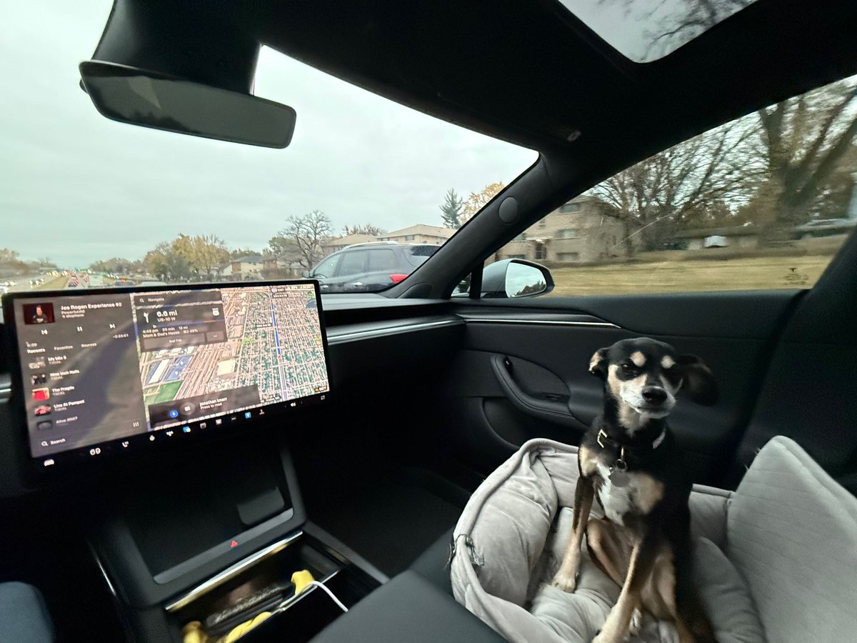 Dan Burkland tweet media