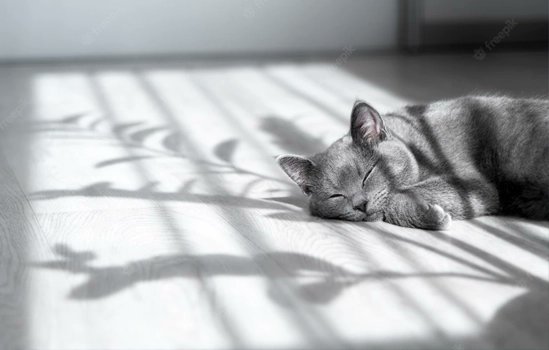 Harrison Heating tweet media