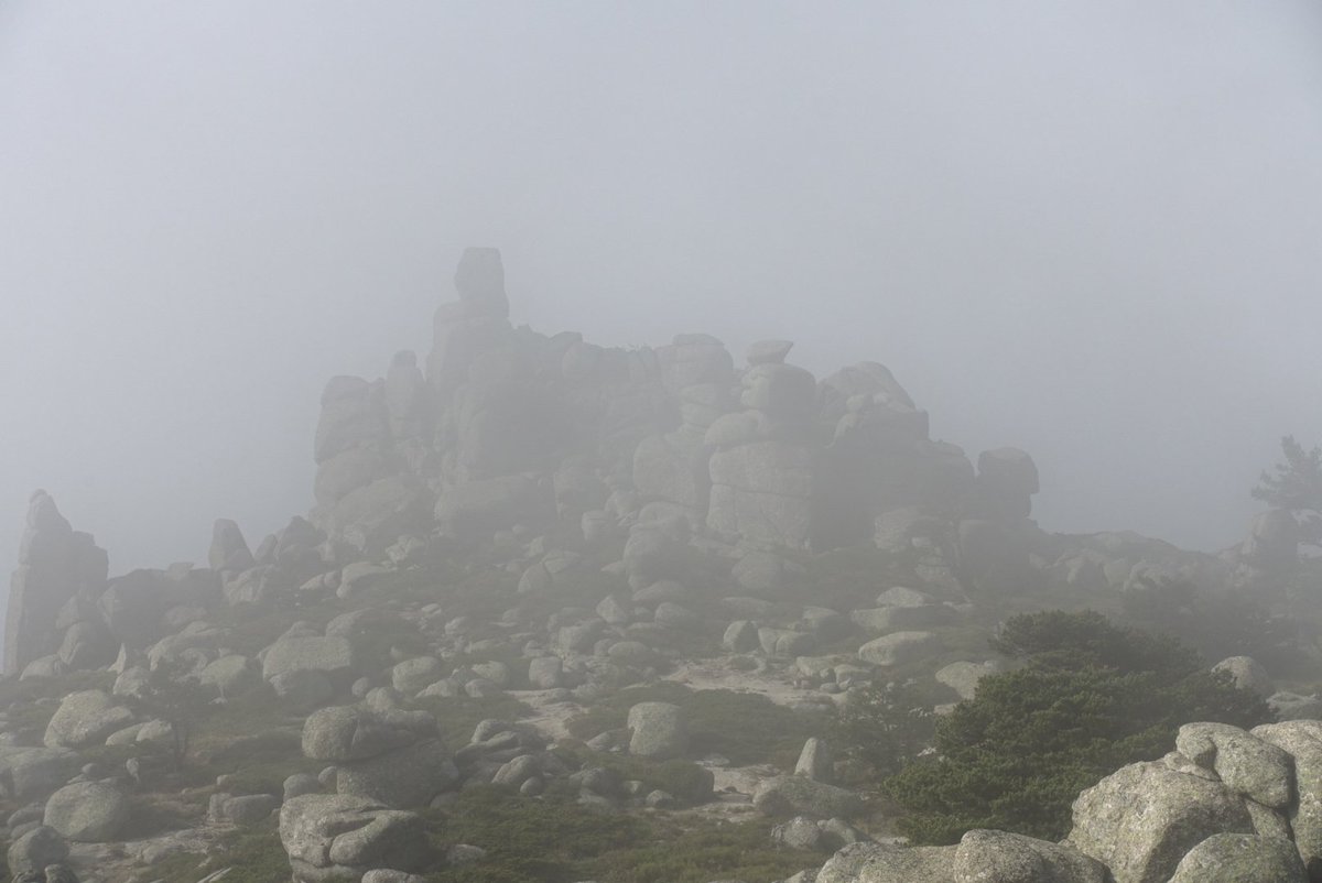 Viajarapie tweet media