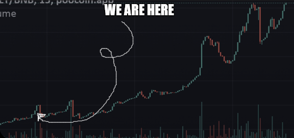 One red candle doesn't mean the end. It means :

-Better distribution
-New buy opportunity
-JEETS OUT WHALES IN