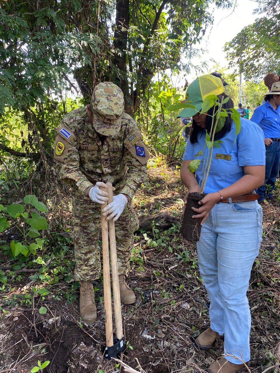 DefensaSV's tweet photo. Elementos del Comando de Ingenieros de la @FUERZARMADASV se sumaron a jornada de reforestación organizada por @MedioAmbienteSV en los alrededores de la Laguna Chanmico, San Juan Opico, La Libertad Centro.

Esta iniciativa busca mejorar el entorno natural y fomentar la conciencia ambiental en la comunidad. 🌱🌍
