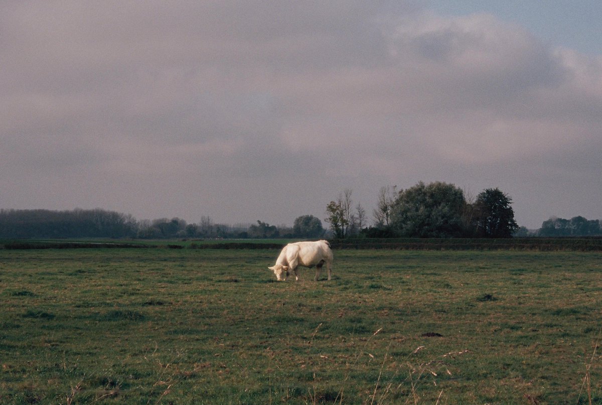 😩💞nothing in the world belongs to me
but my love, mine, all mine, all mine😮‍💨💖