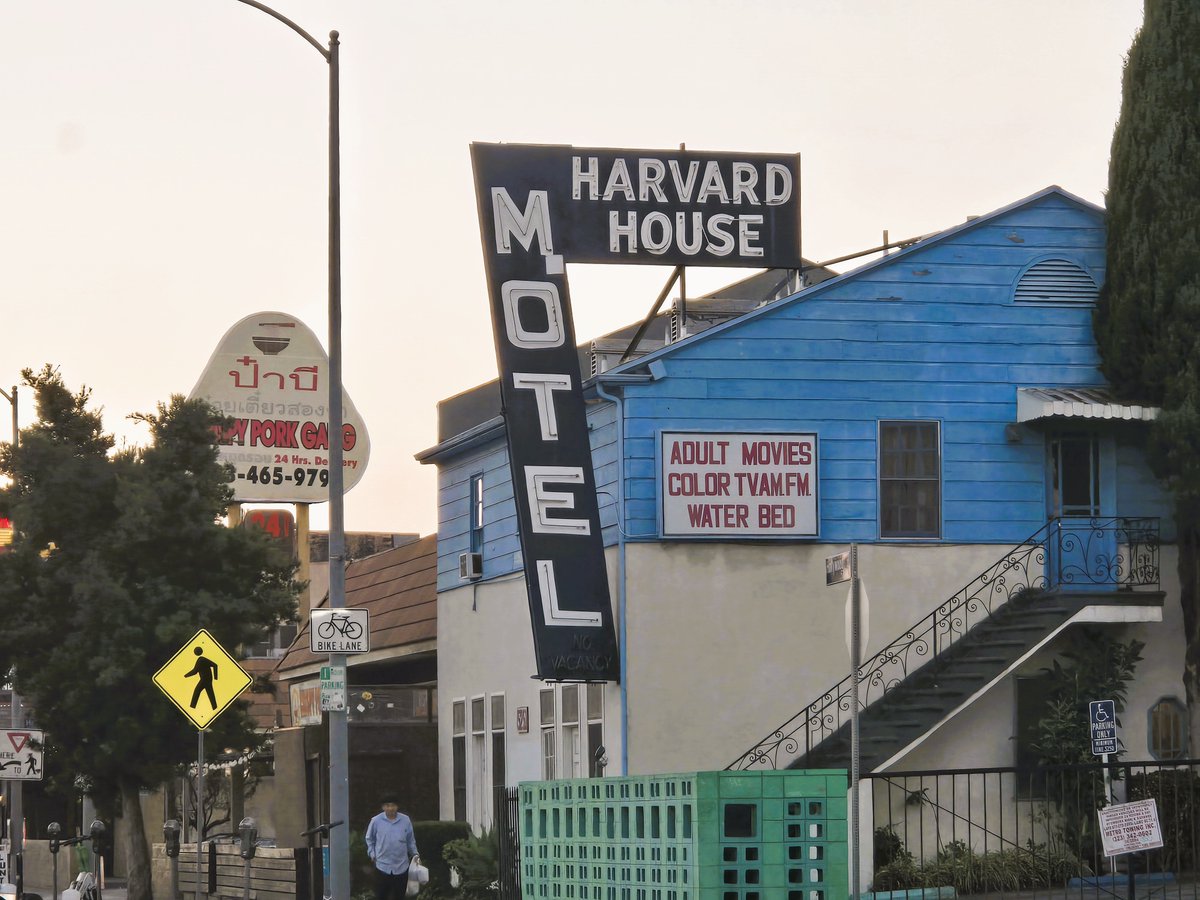 L.A. Dork tweet media