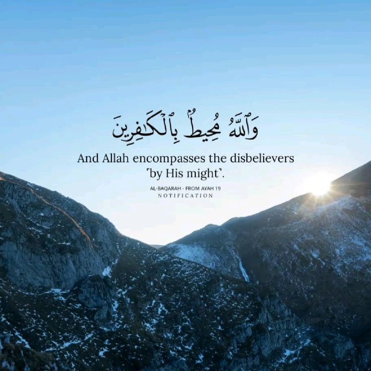 Al_Quran_011's tweet photo. reposts, it will help you🤍🕊️ https://t.co/s5ECIRyhA7