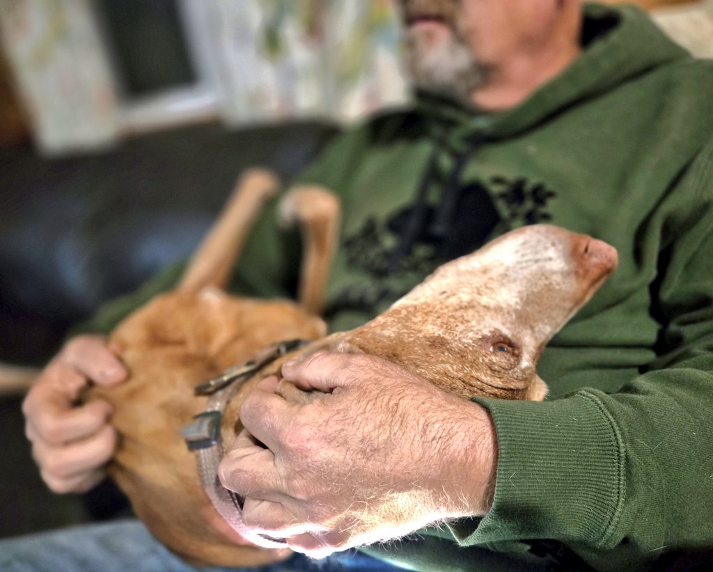 #KanetheDane tweet media