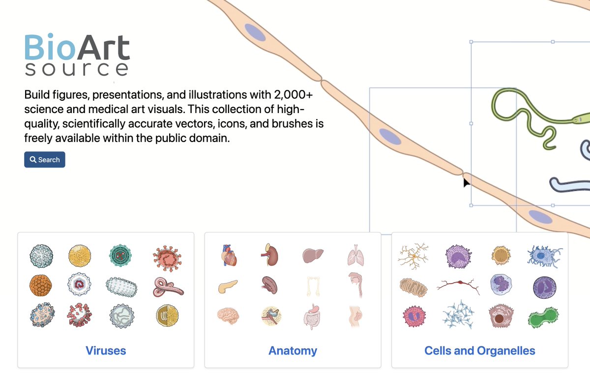docramiro's tweet image. El NIH (National Institutes of Health) acaba de publicar una plataforma de ilustraciones gratuitas para los profesionales de la salud.
Recomendadas 👇
Link: bioart.niaid.nih.gov
