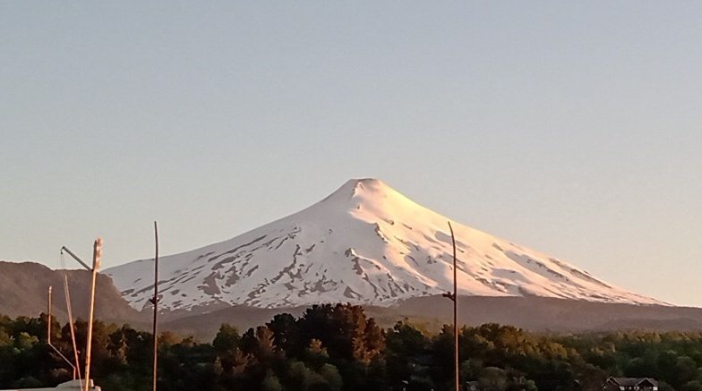 🌹Flor de Azafrán🌹 tweet media