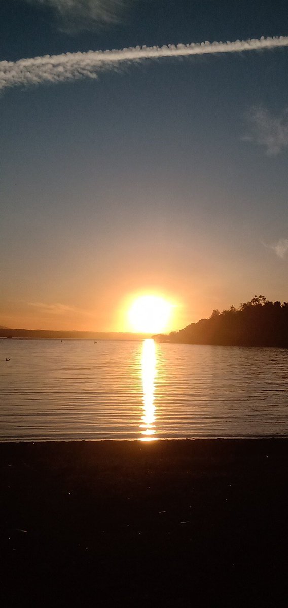 🌹Flor de Azafrán🌹 tweet media