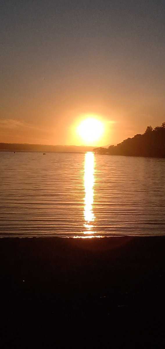 🌹Flor de Azafrán🌹 tweet media