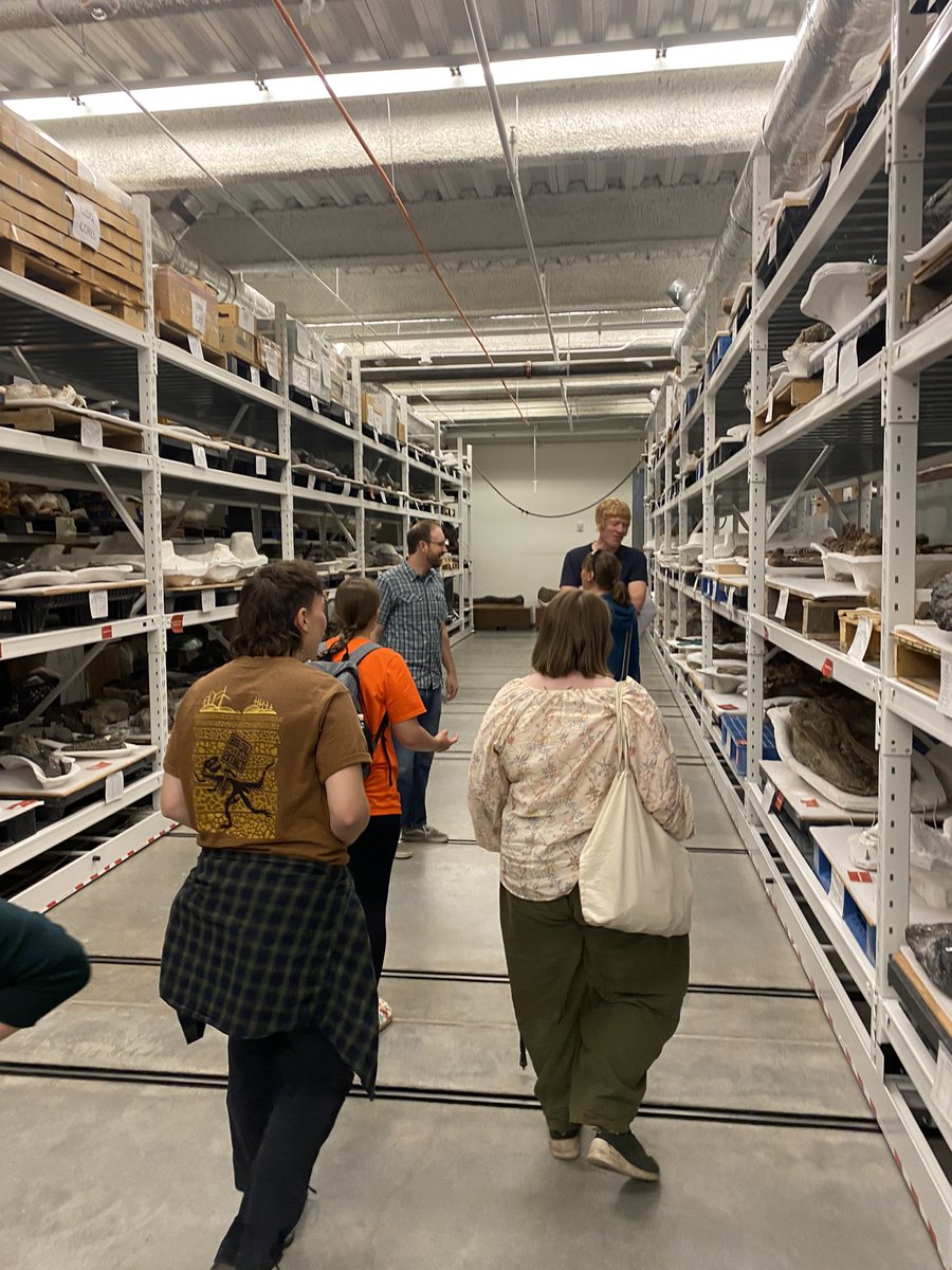 HarryBridger3's tweet photo. Highlights of the collections included the dinosaurs of Cleveland-Lloyd, limb bones from giant ichthyosaurs, and a lot of ceratopsian skulls, such as the holotypes of both Kosmoceratops and Diabloceratops. (2/3) https://t.co/xD5YS5TI4N