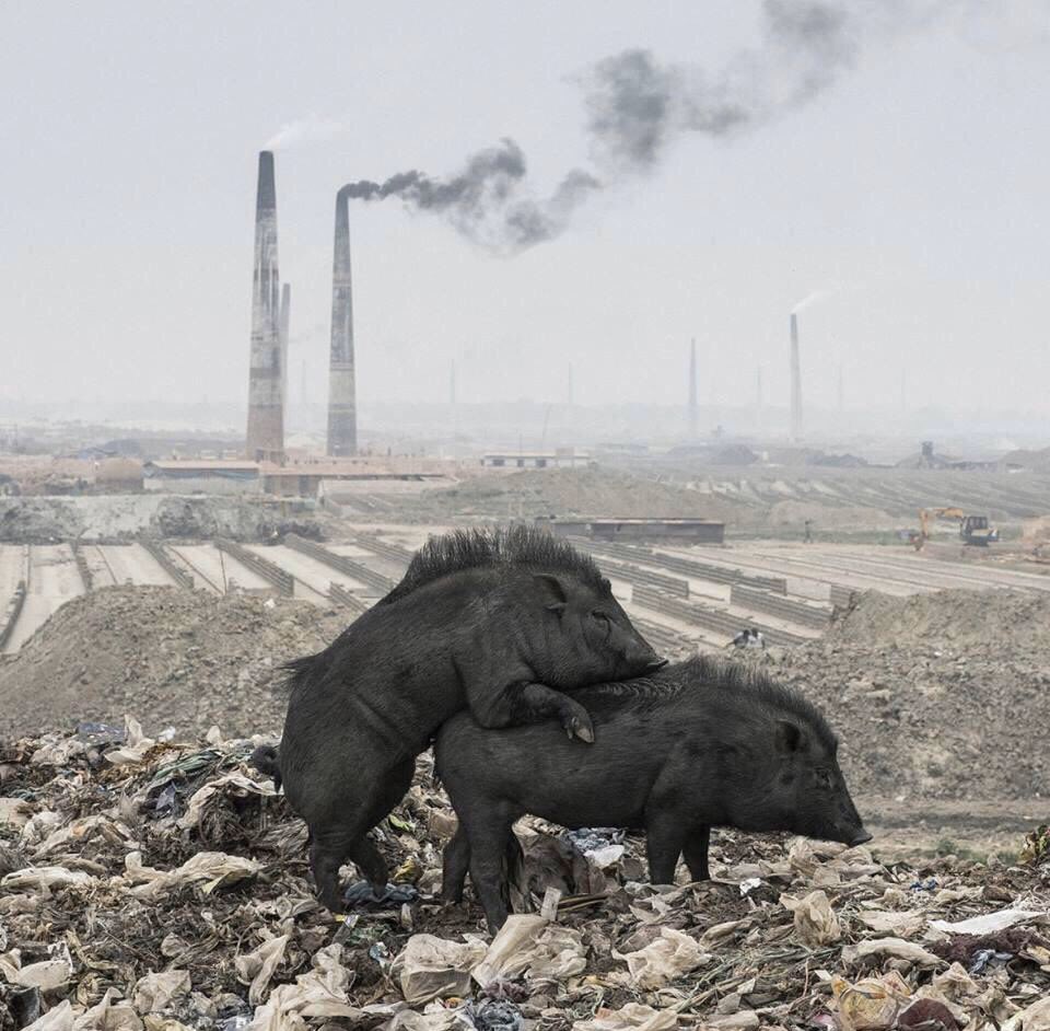 Terro 🇵🇸🗿🐊👽🍷 (@funnyterro) on Twitter photo 