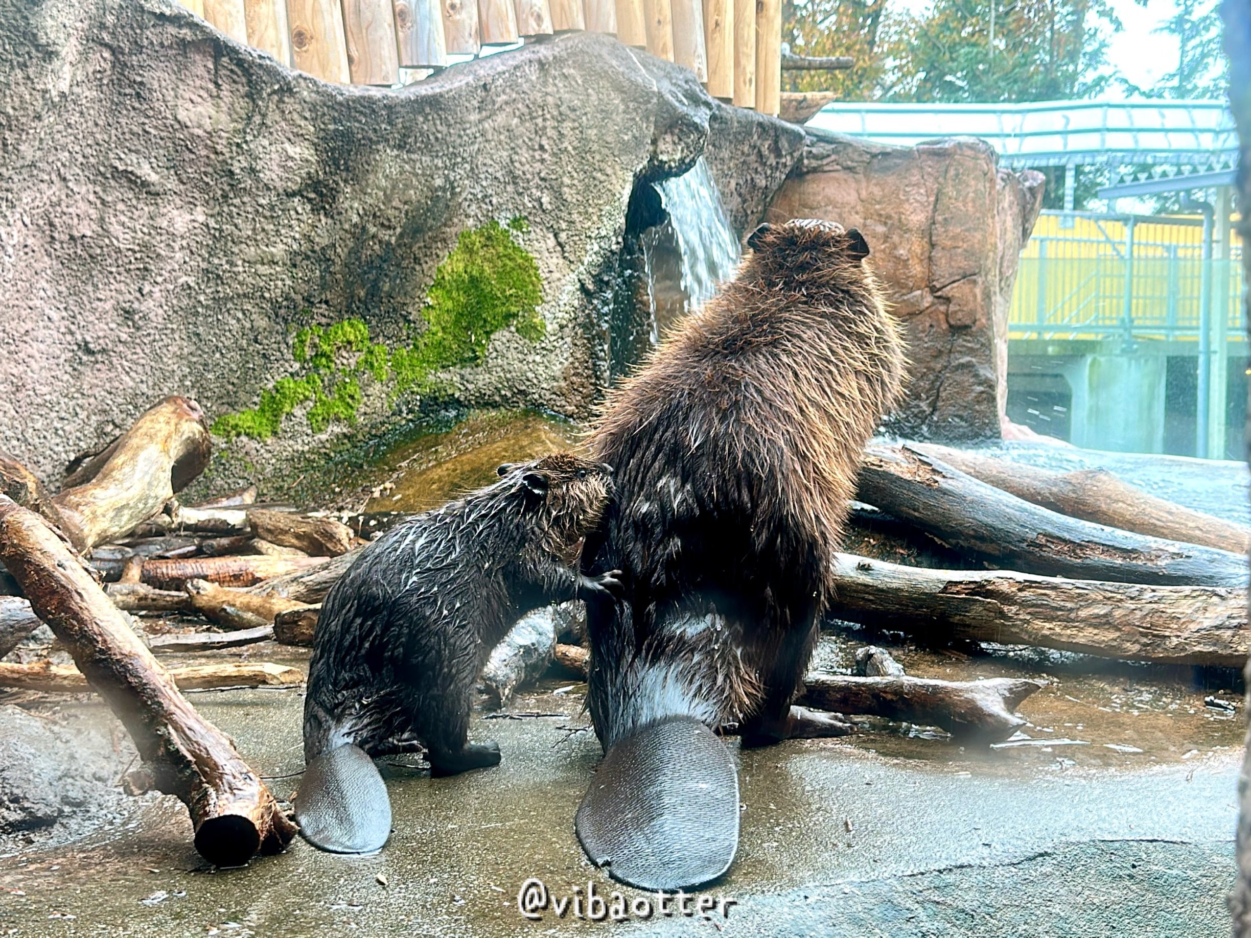 ナツメグmamaページです。 ナツメグmama様専用ページです。