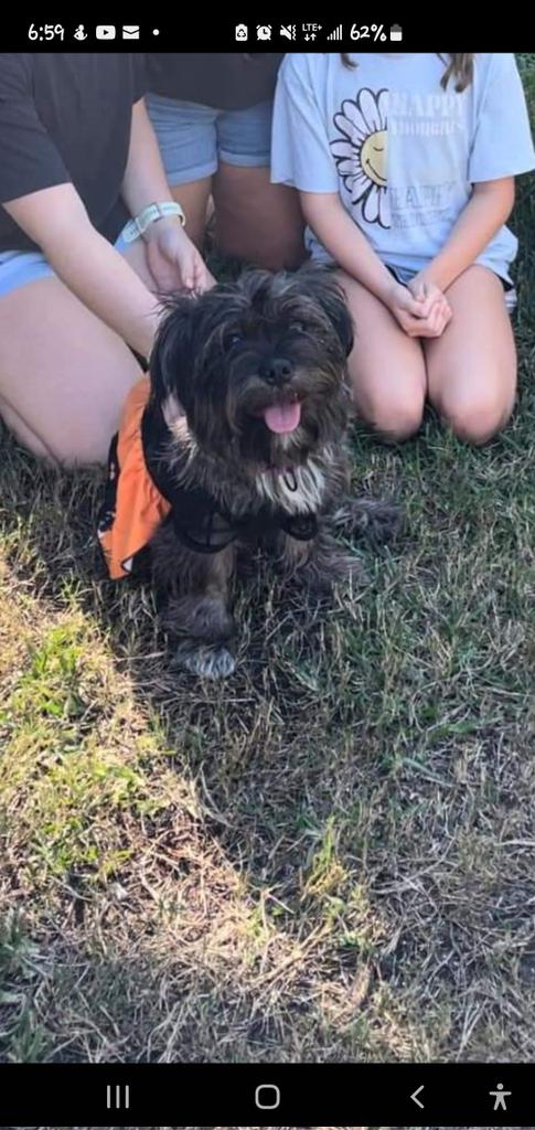 My foster dog Miss Lollli found her furever home!  What a great way to start the week! 😍 #huntersvillagerescue