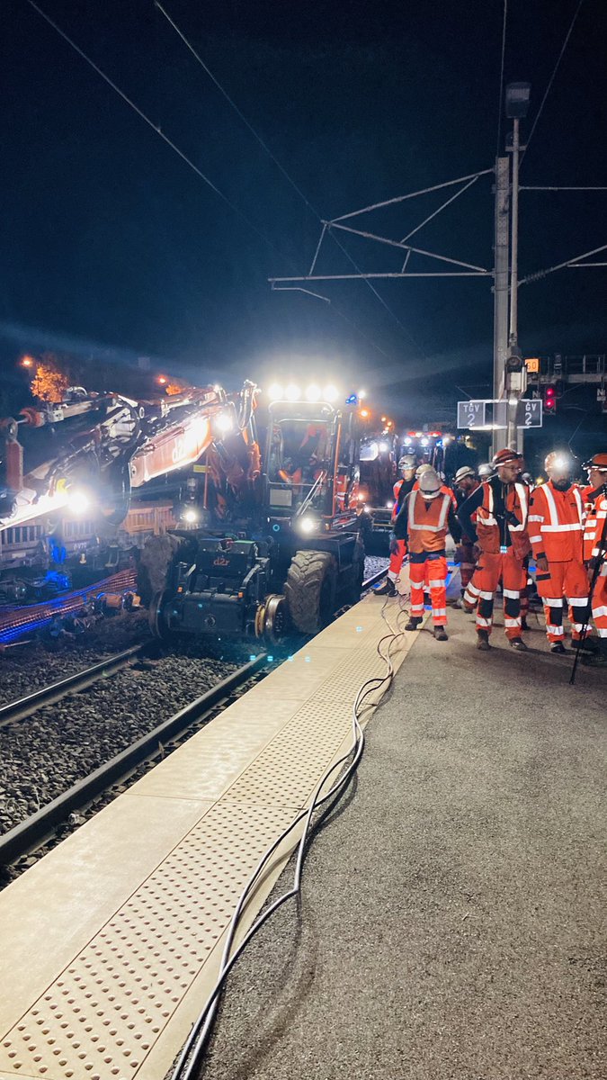 Xavier Wiik tweet media