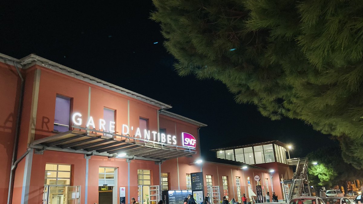 Xavier Wiik tweet media