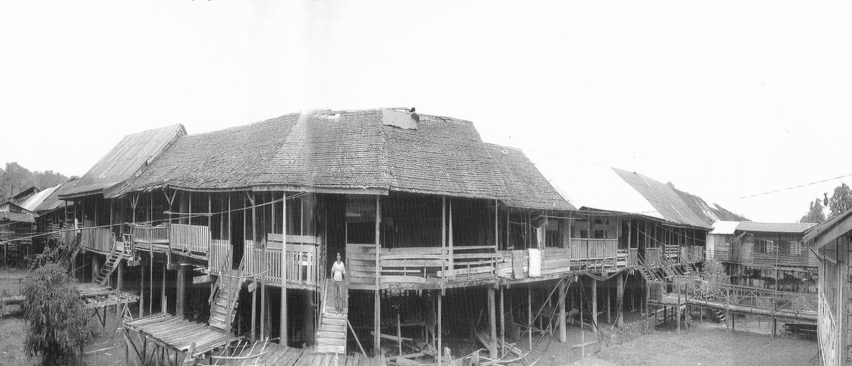 1/ One of the longest-standing misconceptions about the Punan in Sarawak is that they were nomads living in trees. At the recent Sarawak Book Festival, this myth surfaced again when someone asked, “Oh, are they the people who live in trees?” 🤔
