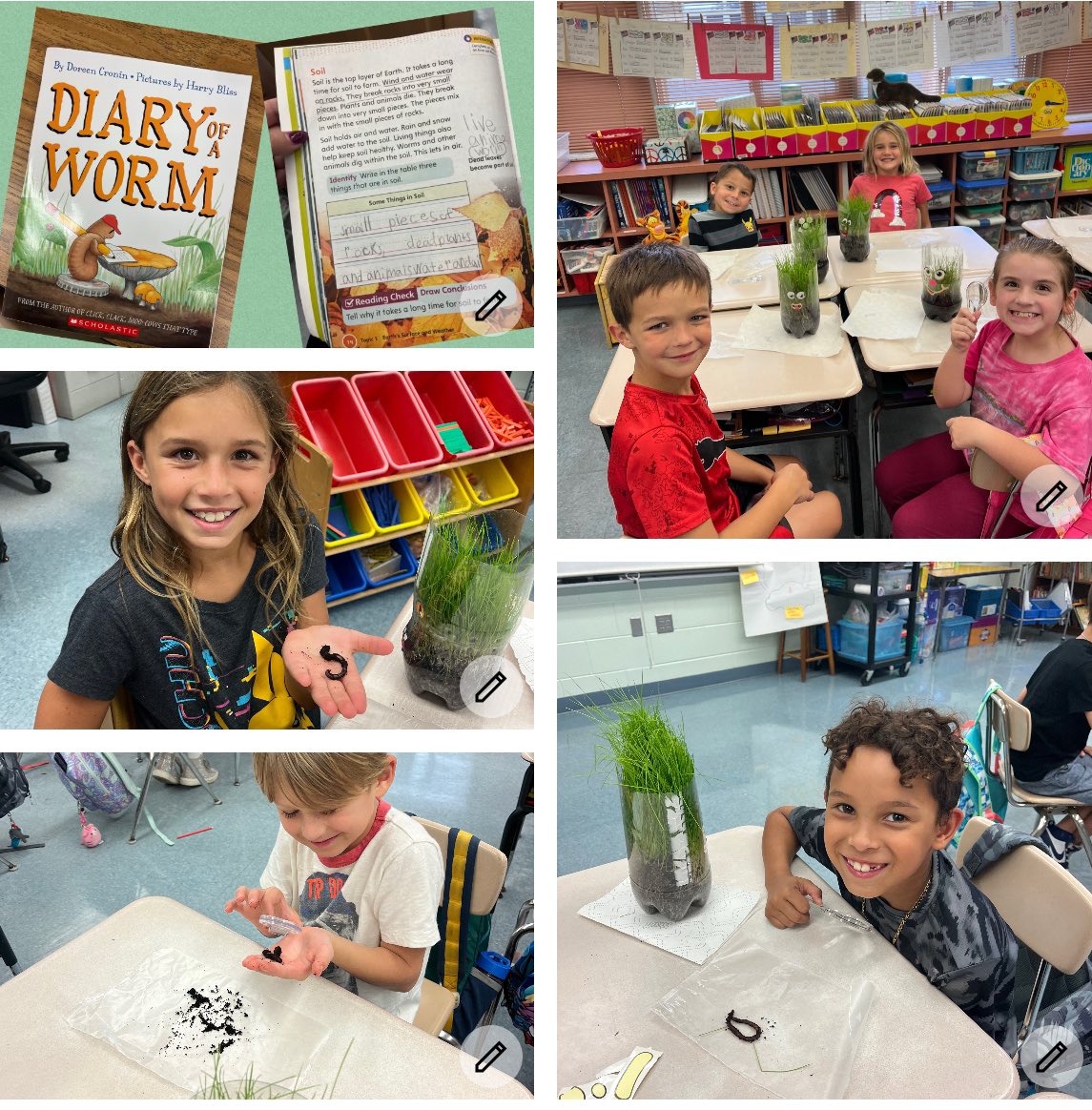 Sweetwater Elementary School tweet media