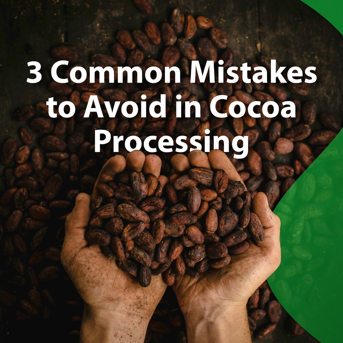 grainproinc's tweet photo. Great chocolates start with high-quality cocoa beans.
Ensuring quality requires proper solutions, measures, and handling. For starters, here are some common mistakes to avoid in cocoa processing.
#Cocoa #Cacao #CocoaBeans #CocoaProcessing #PostHarvest https://t.co/3F06PddEMG