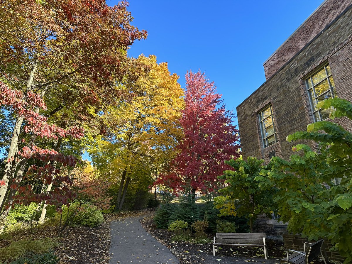 ibudin's tweet image. Finally recovered from almost a week in beautiful Ithaca giving a @CornellChem seminar, collecting data with @CHESS_user, and seeing all my old haunts. Thanks @AndoLab @basktastic for hosting me 🍁🍂🍃