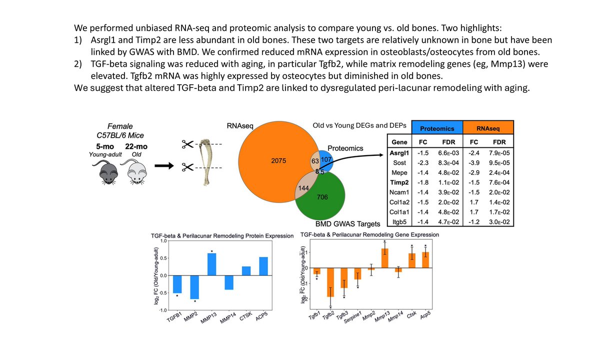 Congratulations! to <a href="/ChermsideScabbo/">Chris Chermside-Scabbo</a> and co-authors from the Silva lab on their paper just published in  <a href="/AgingJrnl/">Aging-US</a> 
pubmed.ncbi.nlm.nih.gov/39400554/