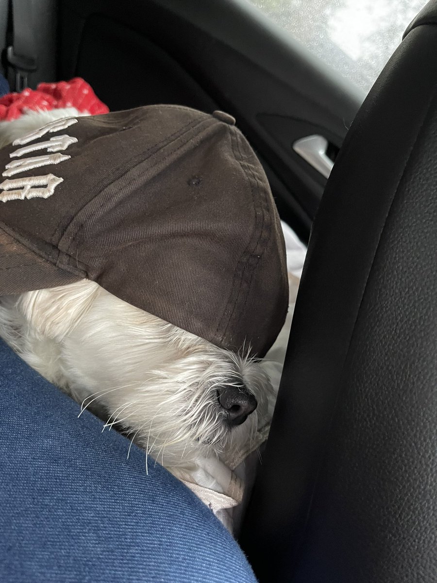 David Martin tweet media