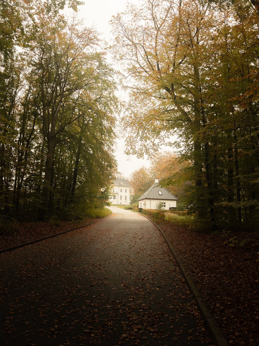 thanpant's tweet photo. @vsco In 🫶🏼 with autumn 🍂 https://t.co/uCzcRSblVT