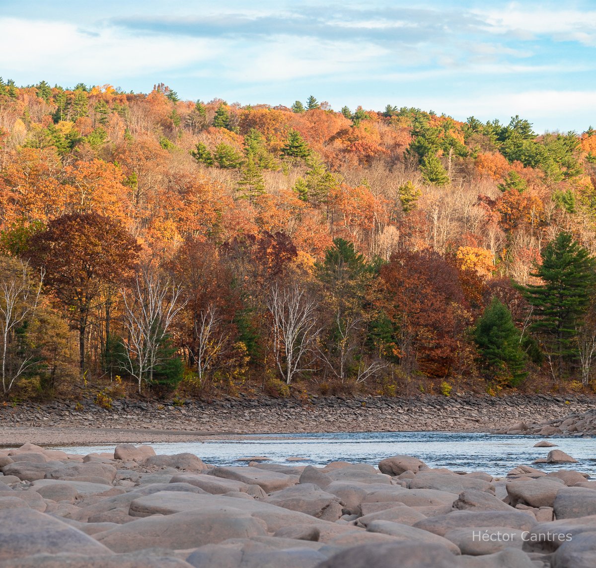 HectorCantres's tweet photo. #FallColors  from the #river. 

#AutumnColors #AutumnVibes #fall #FallVibes #nature #NatureBeauty #NatureLove #OutdoorPhotograhpy #FunOutdoors #FunOutside #OutdoorFun #OutdoorPlay https://t.co/gggKF70vg1