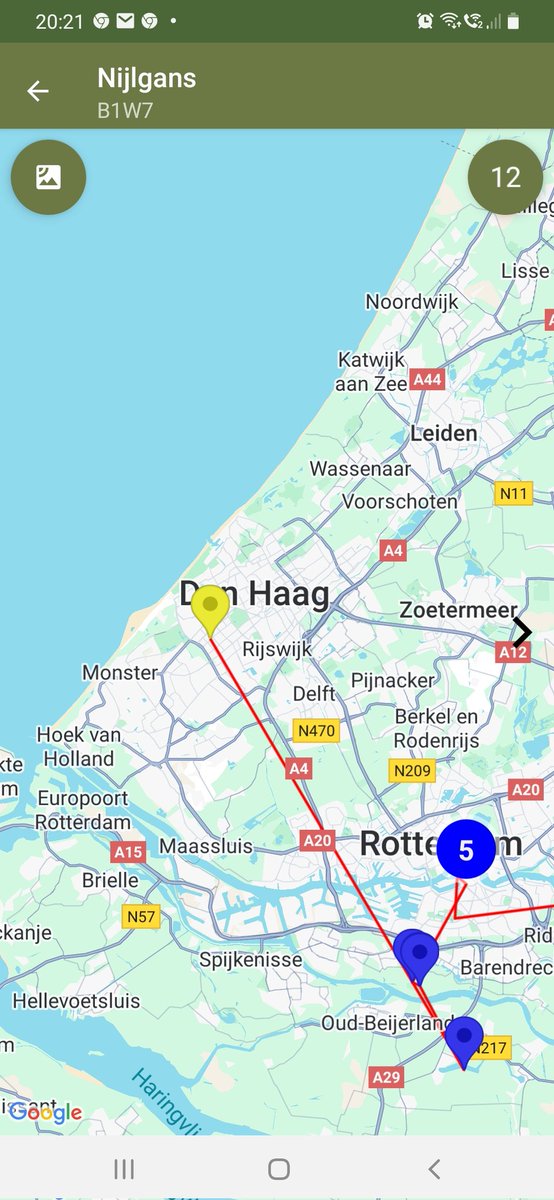 robert keizer tweet media