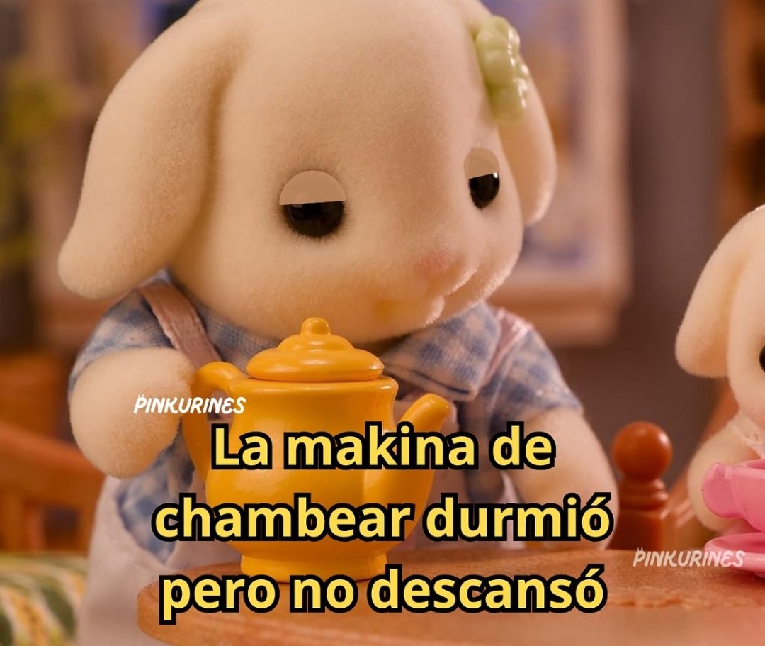 MiniAnimales's tweet photo. https://t.co/dqnGvgGSiA