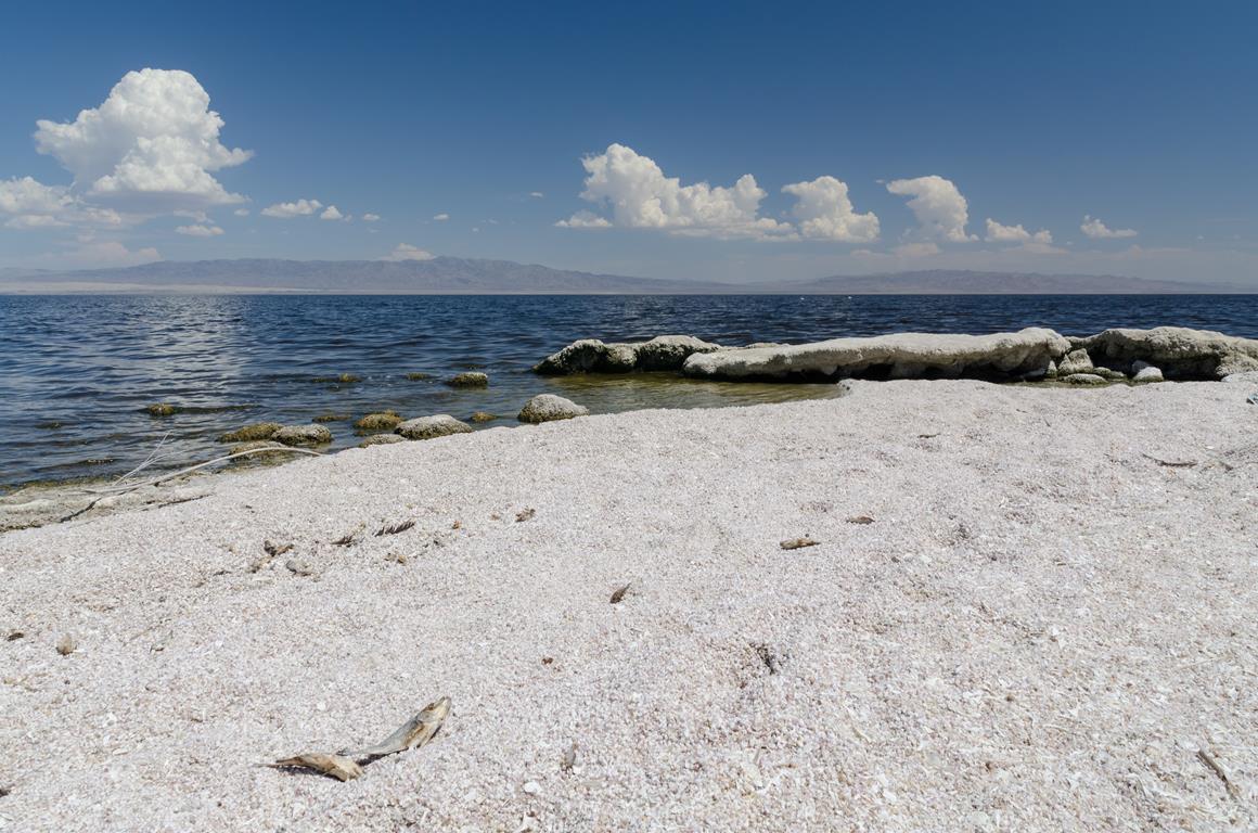 Population and Public Health Sciences at USC (@uscpphs) on Twitter photo A <a href="/USC/">USC</a> study finds lithium-rich Salton Sea is a hot spot for child #respiratory issues. 💡Learn more about the study's findings here➡️ bit.ly/4f152Xo
<a href="/KECKSchool_USC/">Keck School of Medicine of USC</a> <a href="/ResearchAtUSC/">USC Research and Innovation</a>
<a href="/JillJohnstonPhD/">Jill Johnston</a> <a href="/sandy_eckel/">Sandy Eckel</a> <a href="/ElizabethKamai/">Elizabeth Kamai</a> <a href="/RNBluthenthal/">Ricky N. Bluthenthal</a> <a href="/USCEnviroHealth/">USC Enviro Health</a> A <a href="/USC/">USC</a> study finds lithium-rich Salton Sea is a hot spot for child #respiratory issues. 💡Learn more about the study's findings here➡️ bit.ly/4f152Xo
<a href="/KECKSchool_USC/">Keck School of Medicine of USC</a> <a href="/ResearchAtUSC/">USC Research and Innovation</a>
<a href="/JillJohnstonPhD/">Jill Johnston</a> <a href="/sandy_eckel/">Sandy Eckel</a> <a href="/ElizabethKamai/">Elizabeth Kamai</a> <a href="/RNBluthenthal/">Ricky N. Bluthenthal</a> <a href="/USCEnviroHealth/">USC Enviro Health</a>