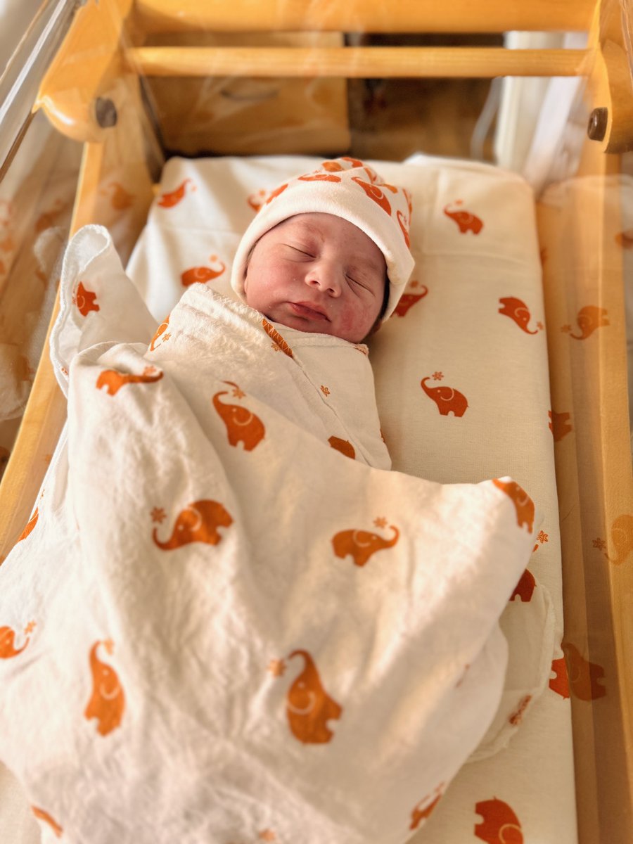 Wiz 👨‍🚀 tweet media