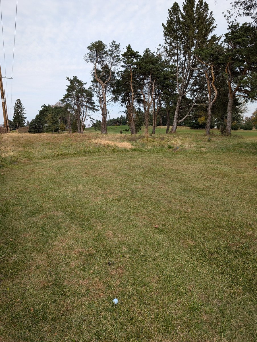 Jake Weaver tweet media