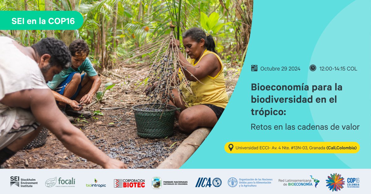 SEIenEspanol's tweet photo. 📣Mañana te esperamos en la zona verde de la #COP16. Discutiremos el potencial de los productos forestales no maderables para poner la #BioeconomíaEnAcción.

¿Cuáles son las barreras que enfretan? 

📍Universidad EECI 
🗓️29 de Oct
⏰ 12:00pm

Regístrate👉 https://t.co/qsU6PmxRRs https://t.co/aTjsR7ikOa