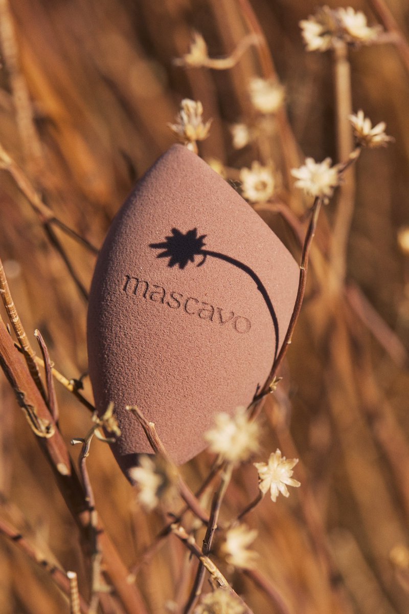 MASCAVO tweet media