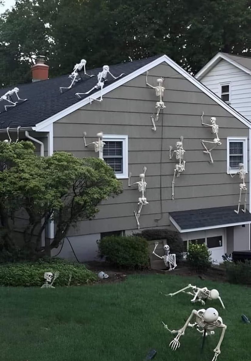xoxoyayaaa1's tweet photo. Just finished decorating my house what y’all think? https://t.co/qe2tpRctkI