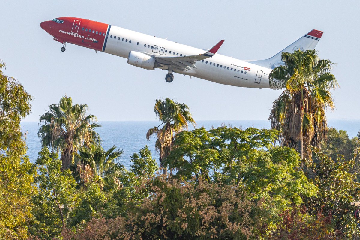 Photo prise en pleine ville, on dirait pas 😉✈️🇫🇷🌴