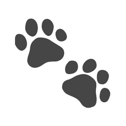 Barleska11's tweet photo. @ord_bit @FAFObtc_ In the pocket #fractaldogs https://t.co/mB2GzznuQj