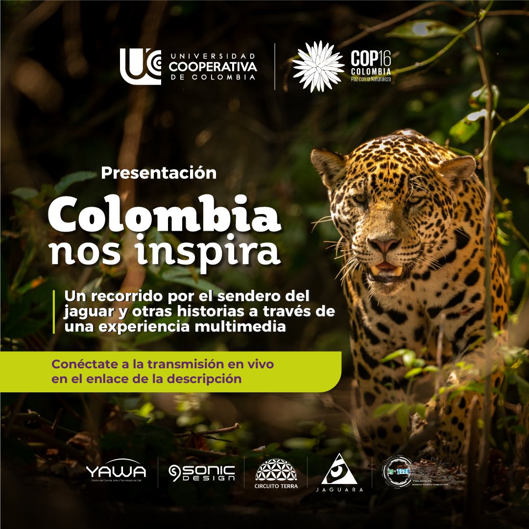 UCC Villavicencio tweet media