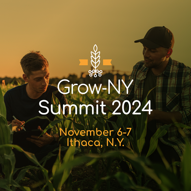 We’re thrilled to announce that Zordi is a finalist in the Grow-NY competition, joining 20 top food and ag startups worldwide! 🌱 We'll present our vision for sustainable agriculture at the summit on Nov 6-7. More info: grow-ny.com/2024-finalists/