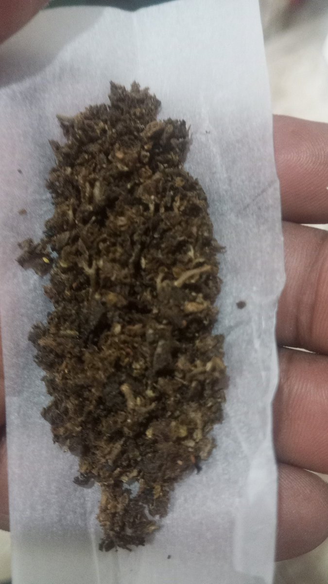 Vou fuma 2 da forte pra dá sorte 😵‍💫🫵