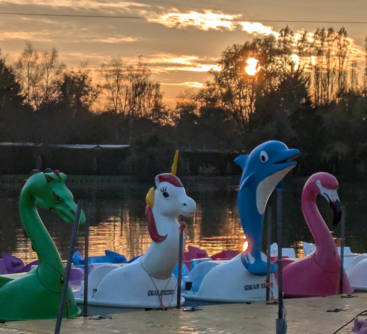 midgester's tweet photo. Hey @tobytarrant you big ginger legend!!! Nice to see Tallulah enjoying her well-earned retirement at the home for heroic animal pedalos here in France. Rest assured, she's well cared for and has made some good friends. https://t.co/W7pscPFDqC