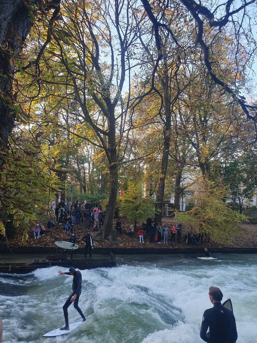 Attending #MetaRep2024 in Munich. 
Great organisation, wonderful location, an anbsolutely beautiful fall season.
Went for a run this afternoon and I can't get enough! 

(Yes, I saw a person surfing on the river 🙉)