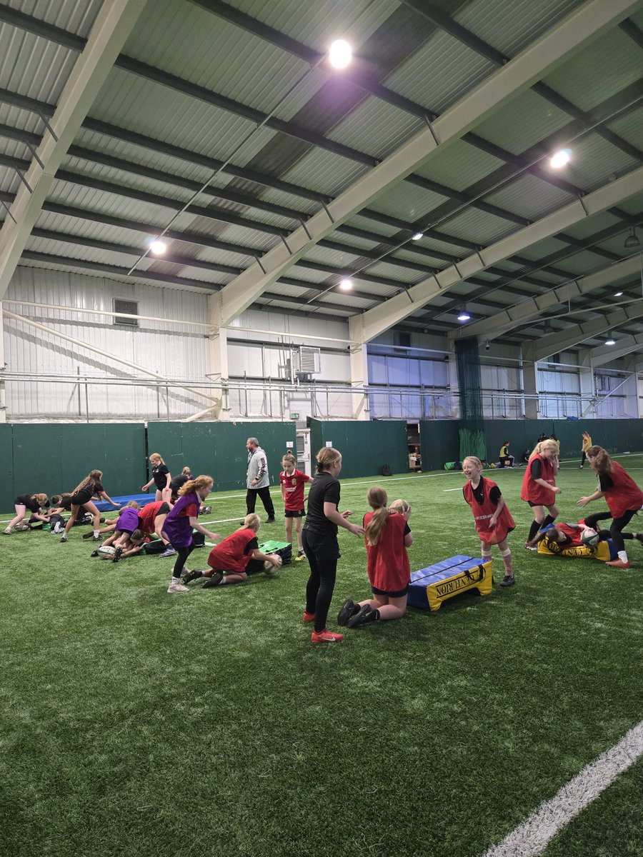 Sarah Lewis tweet media